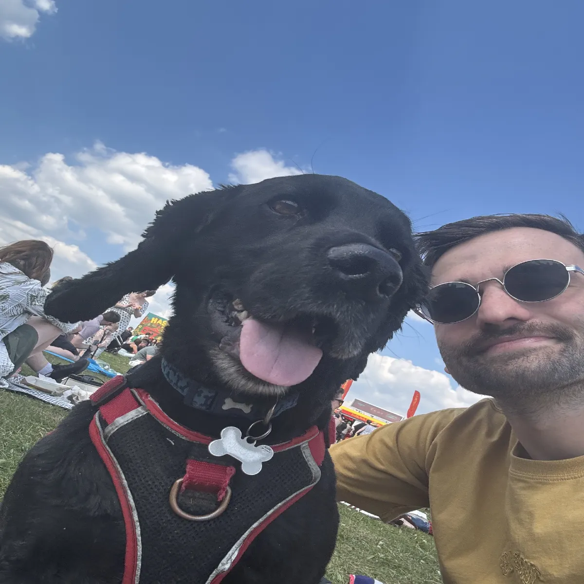 matt and his dog enzo