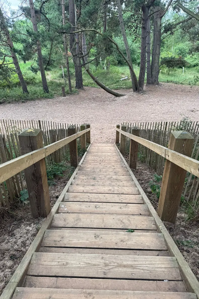 wooden staircase leading to a wooded area