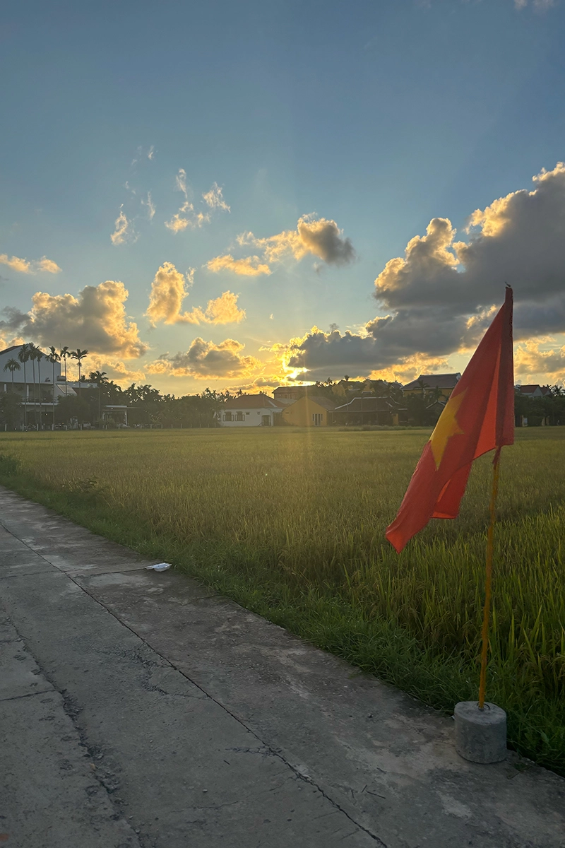 the Vietnamese flag flying next to a rice field