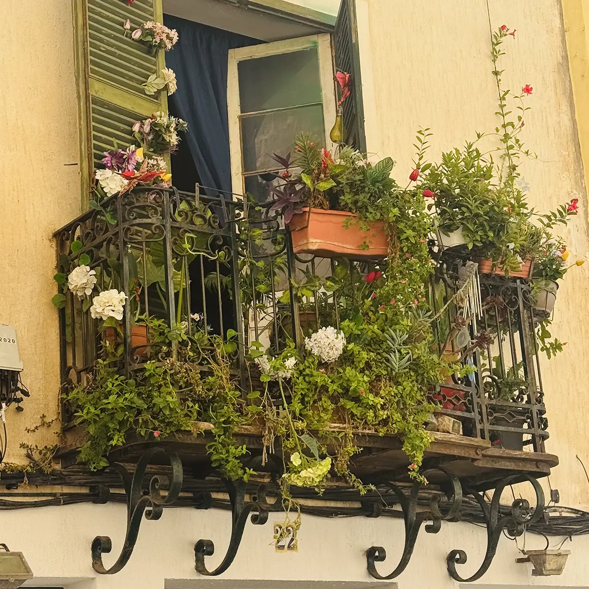 Flowered balcony in Mahon
