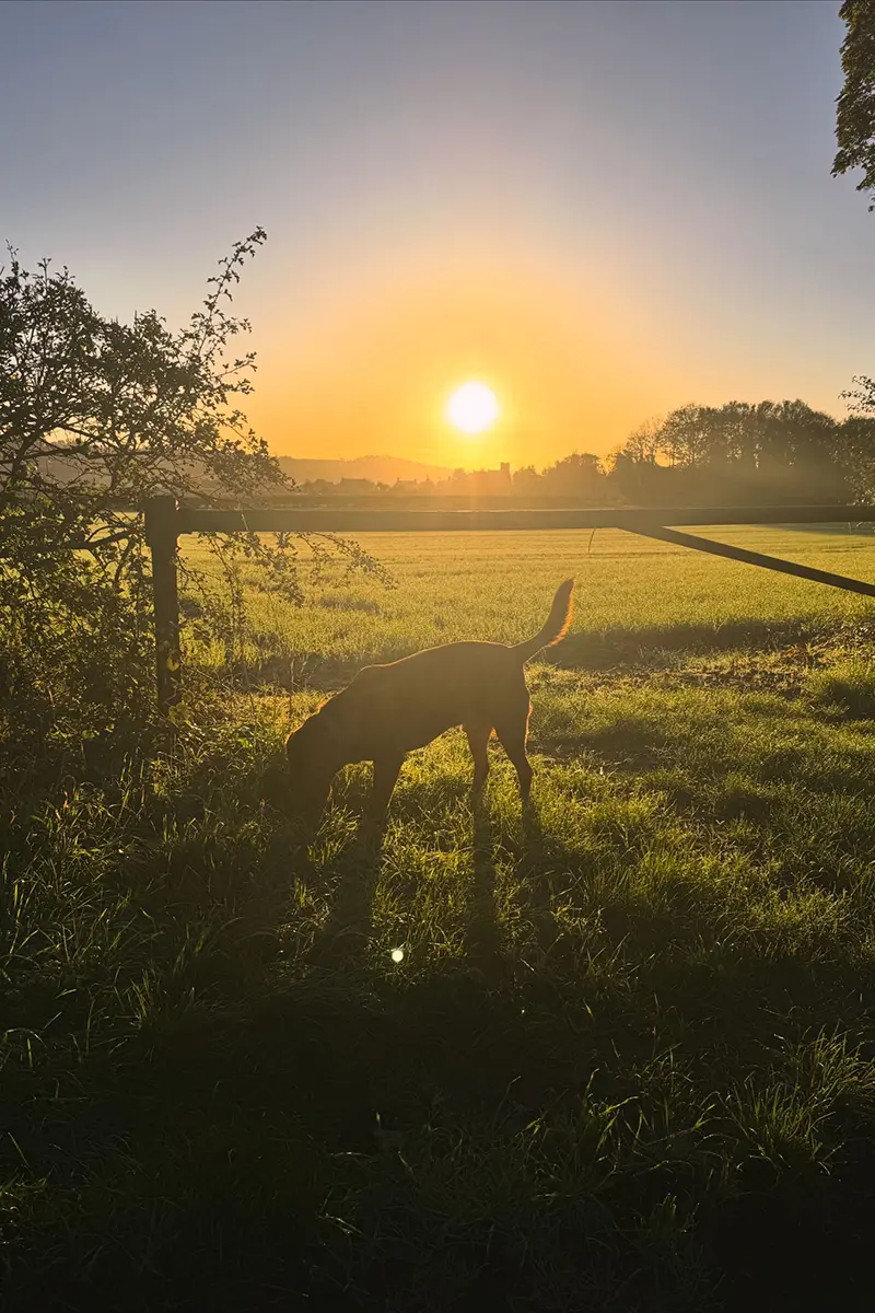 Autumn sunset in Hunstanton Norfolk