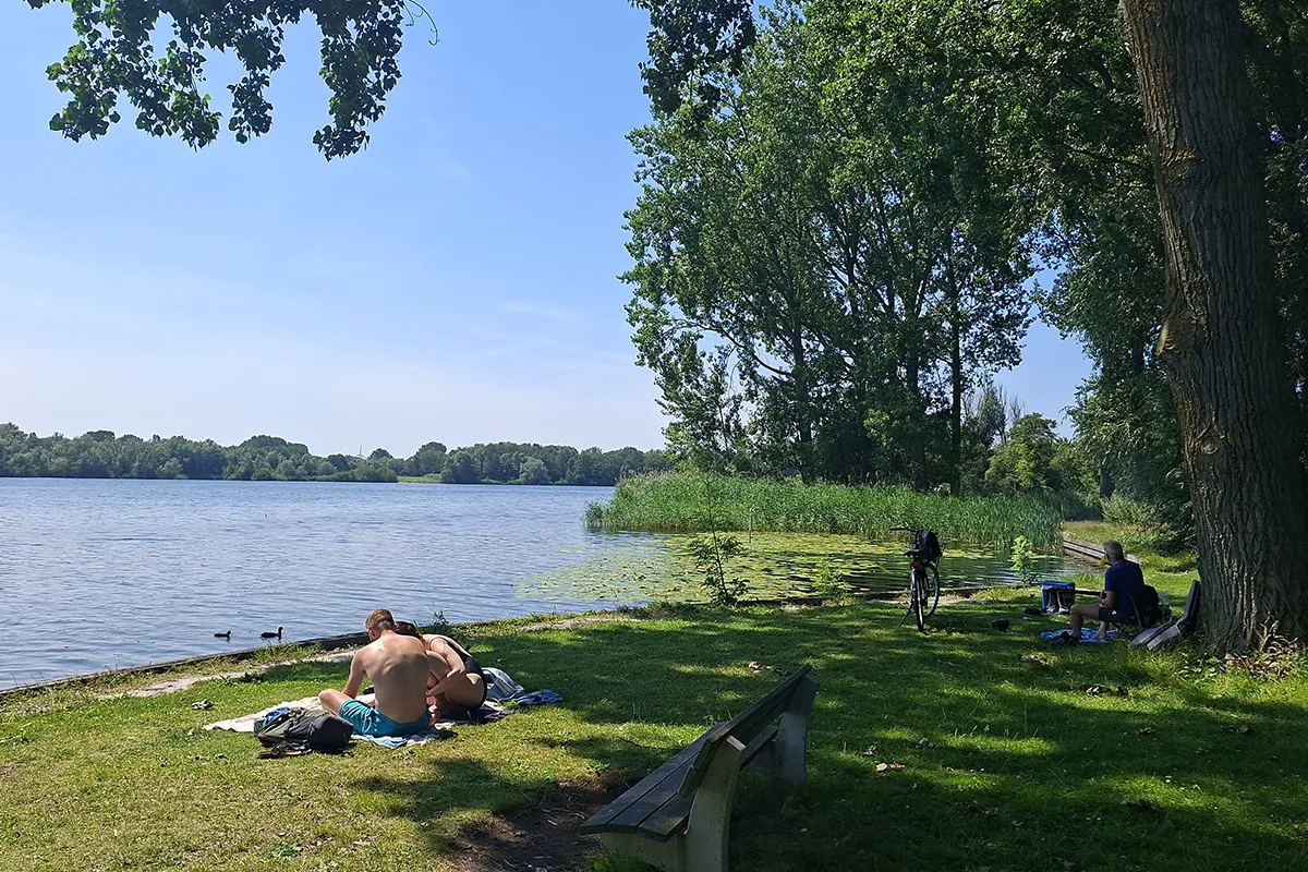 A lake tress and grass in Amsterdam