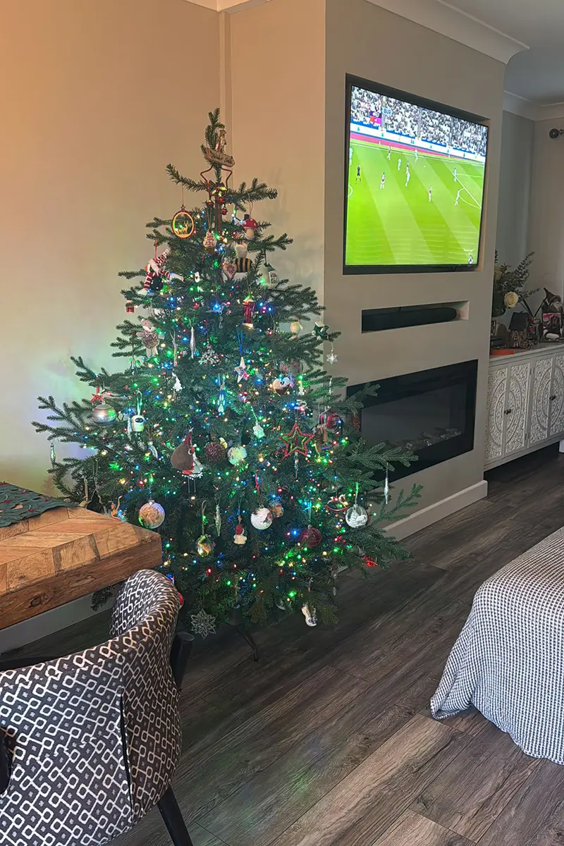 Christmas tree in november 