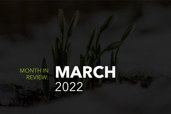 Web development and marketing teams March month in review 2022