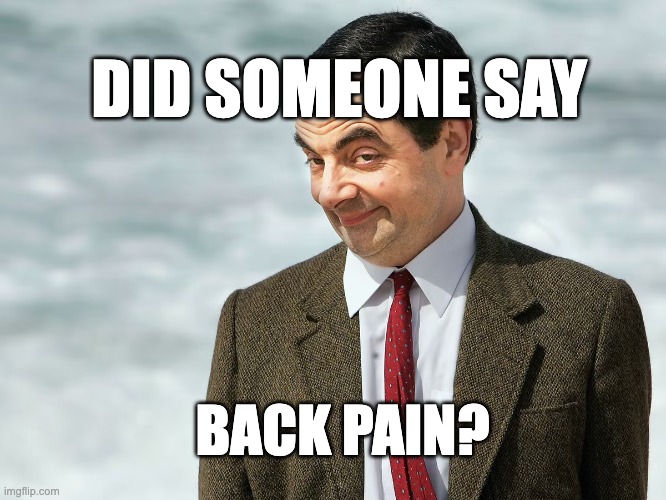 did someone say back pain meme