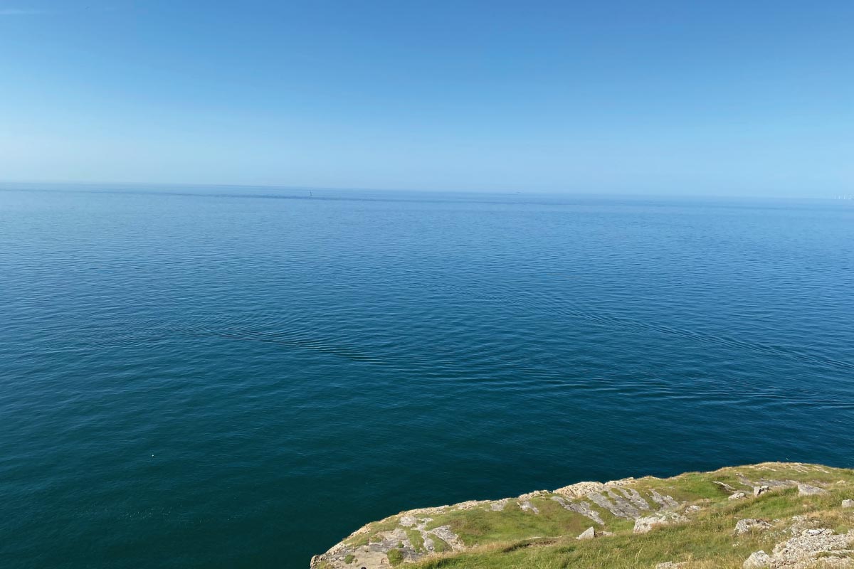 bempton cliffs