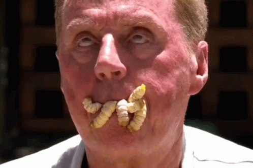 harry redknapp eating a witchetty grub
