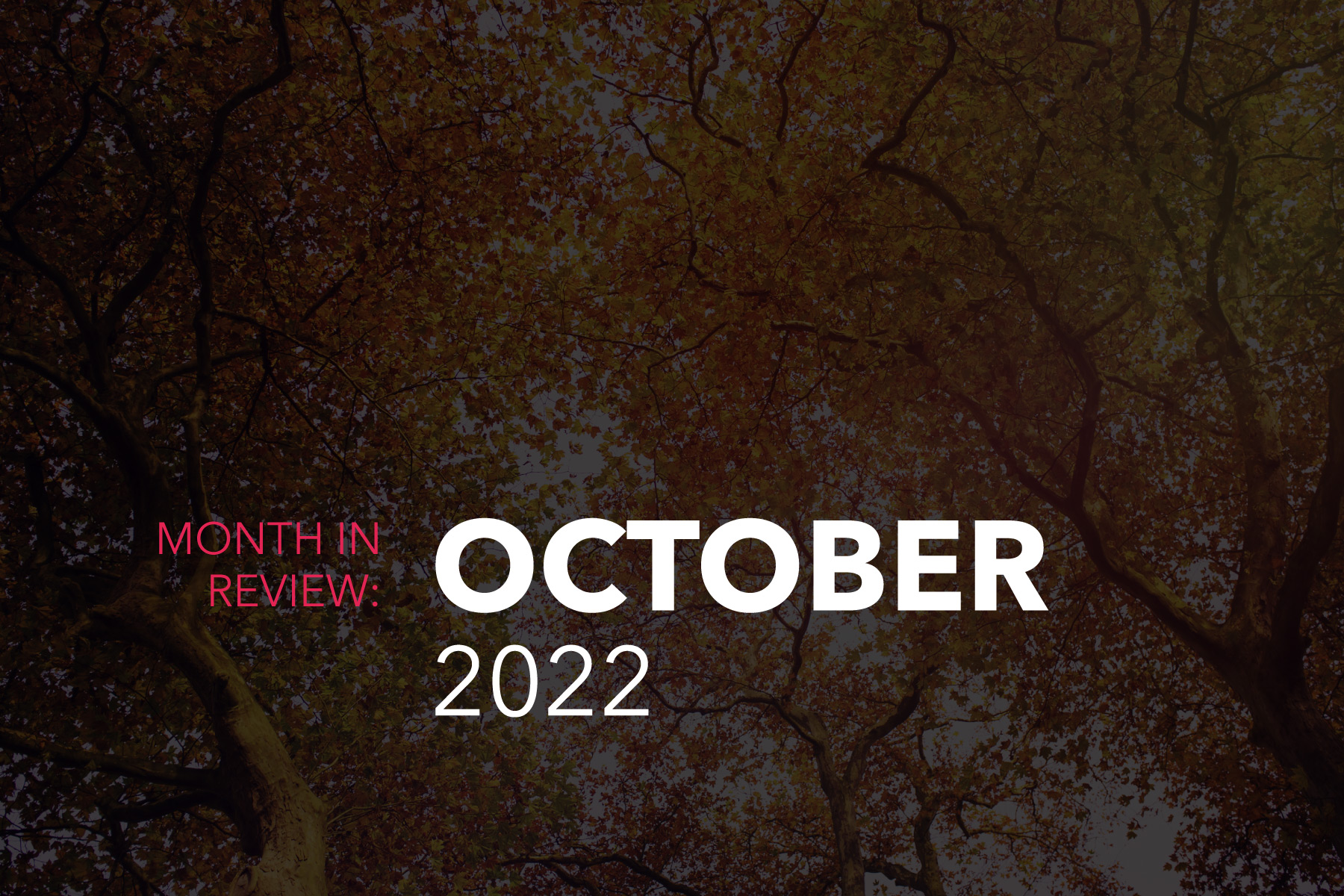 month in review October 2022