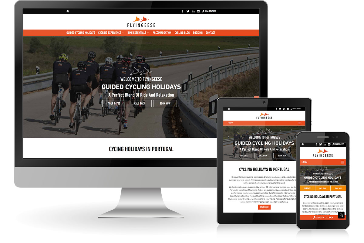 responsive website design