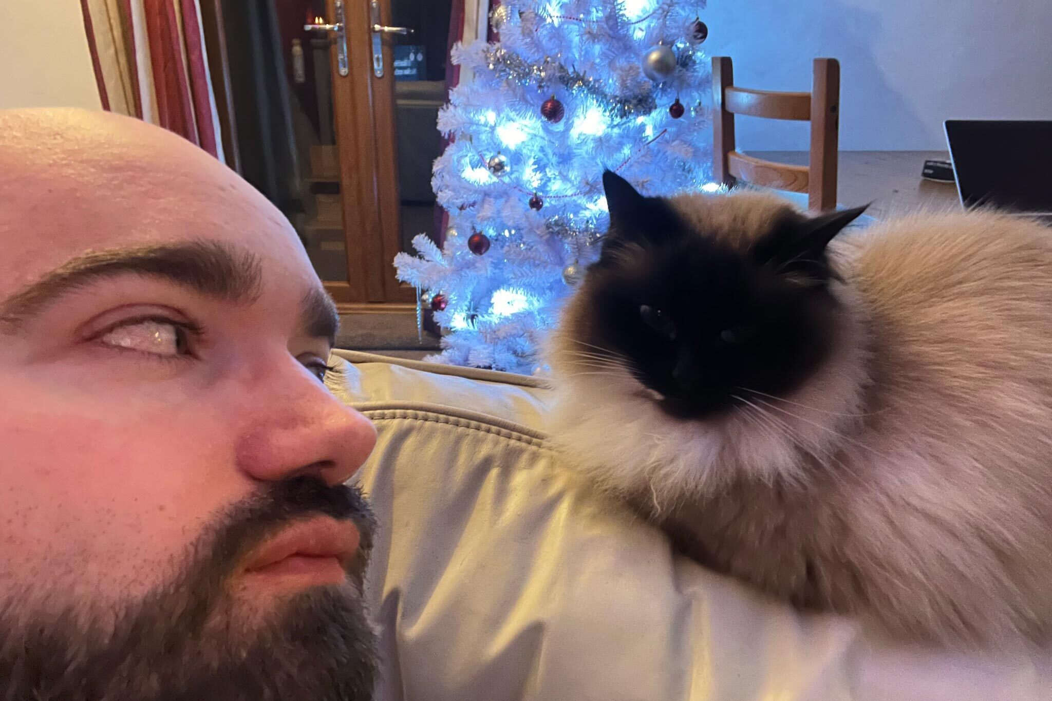 designer Stephen looking at his cat with a Christmas tree in the background