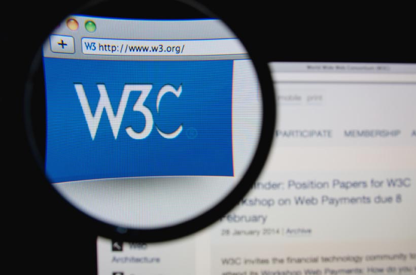 A computer screen with W3C magnified